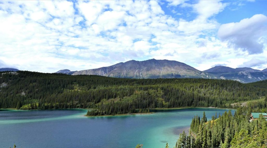 Whitehorse Bus Rental